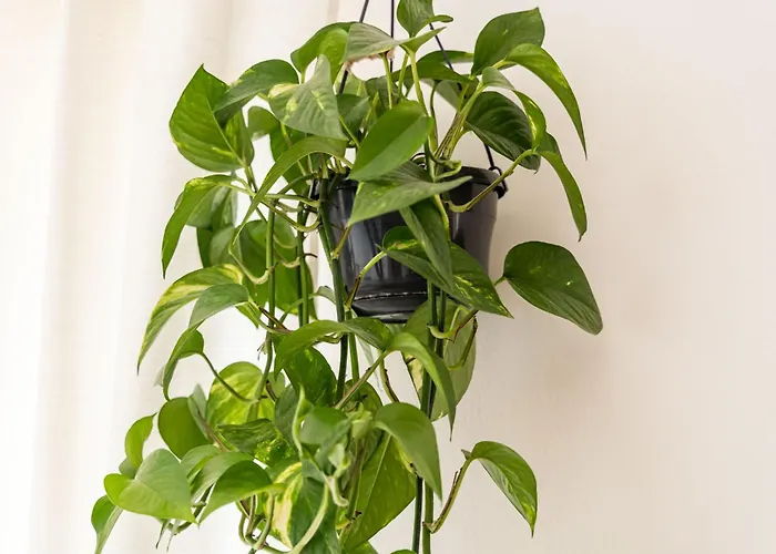 公寓 Burum - With Beautiful View 3